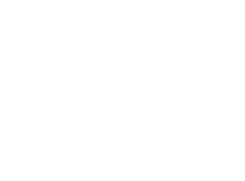 Siemon